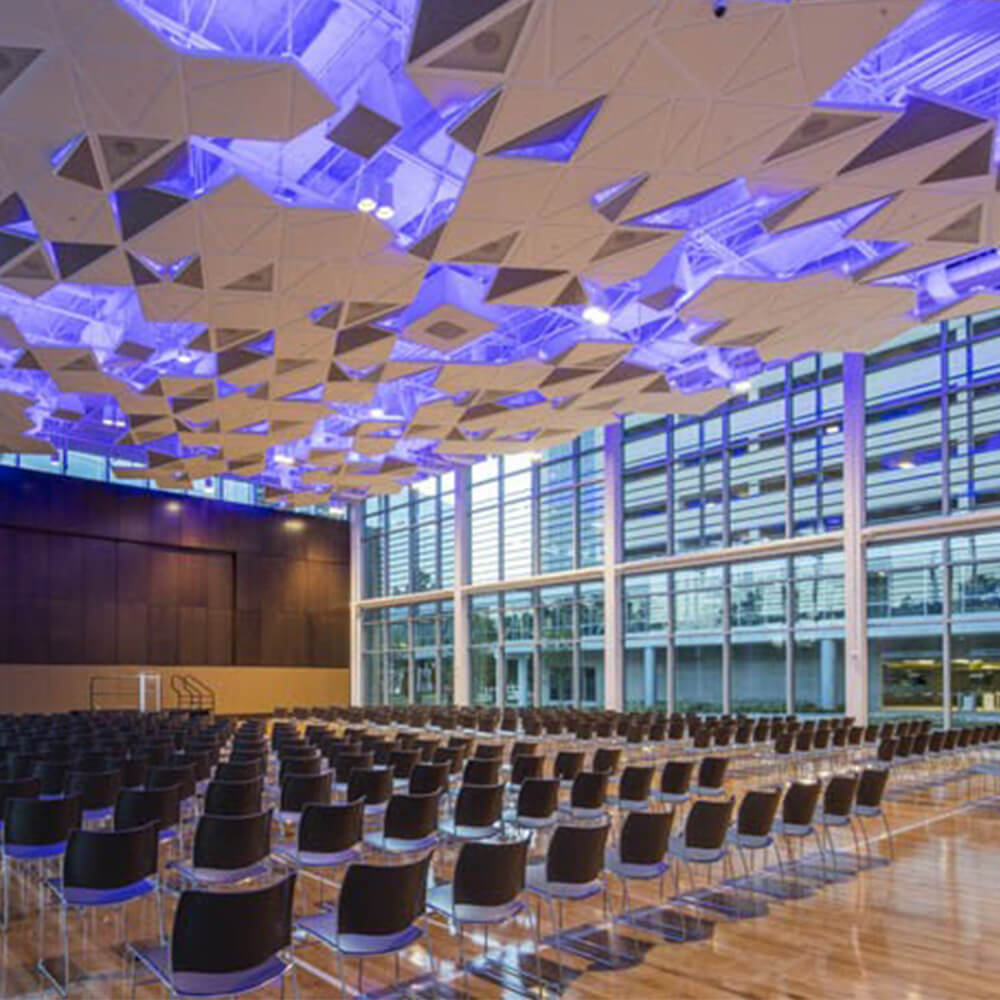 Nobel Energy Town Hall with sculptural ceiling and purple light